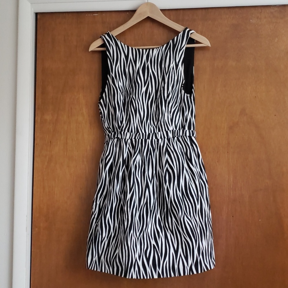 Zebra print Zara dress